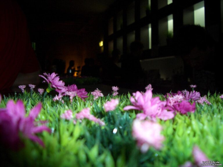 Schamlos IV – Die Blümchen- und Bienchen-Party, Düsseldorf, 2007
