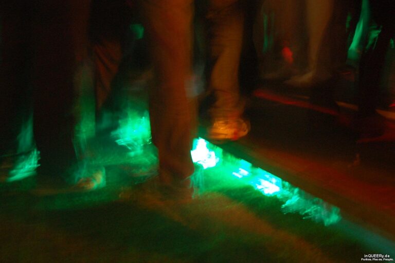 Schamlos IV – Die Blümchen- und Bienchen-Party, Düsseldorf, 2007