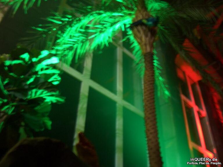 Schamlos VI – macht wild! Das Dschungelabenteuer, Düsseldorf, 2007